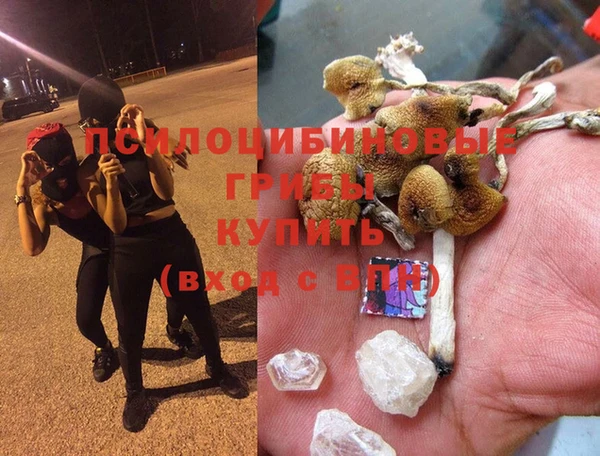 гидра Нягань