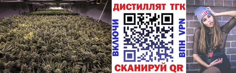как найти наркотики  Тверь  Дистиллят ТГК THC oil 