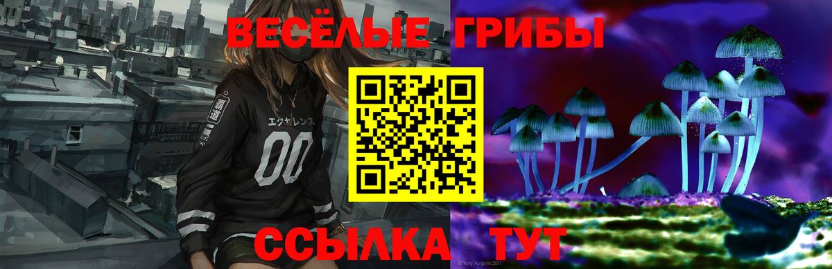 Псилоцибиновые грибы Psilocybine cubensis Тверь