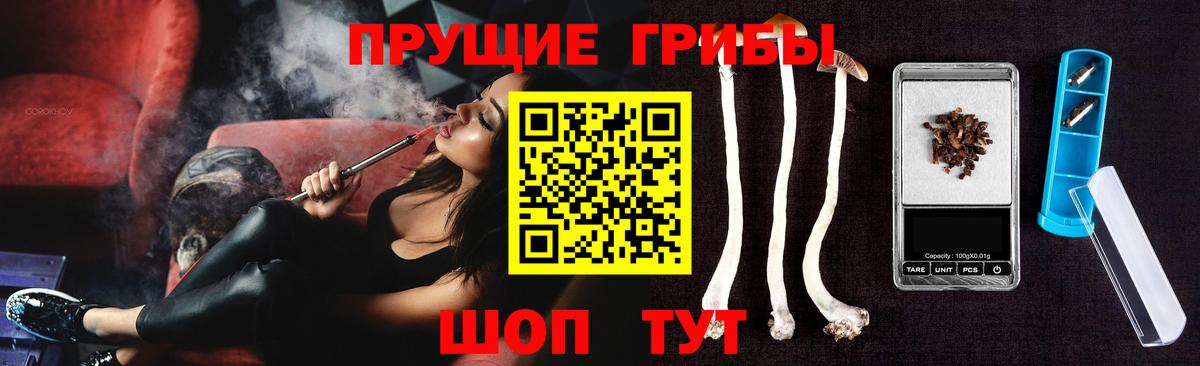 Псилоцибиновые грибы GOLDEN TEACHER  Тверь 