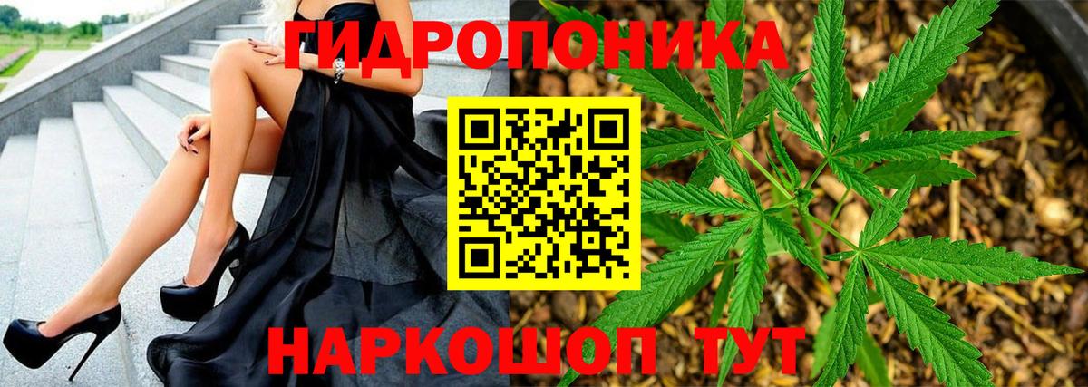 Тверь  Бошки марихуана LSD WEED  Вход с VPN  Бошки Шишки OG Kush  Бошки марихуана Amnesia 